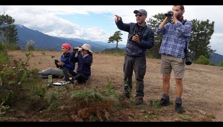 Artvin Yırtıcı Sayımı