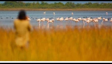 Tanıtım Filmimiz Ulusal Basında