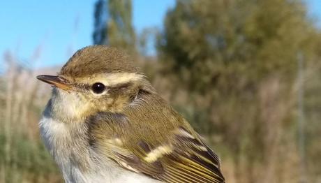 Örnek haber adı gelecek.
