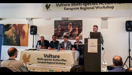 Eski Dünya Akbabaları Eylem Planları