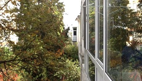 Bina Camlarının Yüz Milyonlarca Kuş Öldürmesini Önlemek