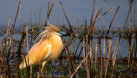 Örnek haber adı gelecek.