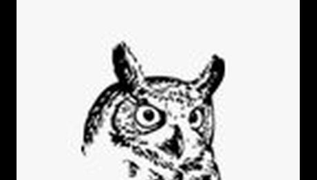 KUSGOZLEM.COM Açıldı!