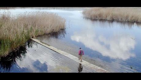 ÇORUMUN KUŞ CENNETİ YENİLENECEK