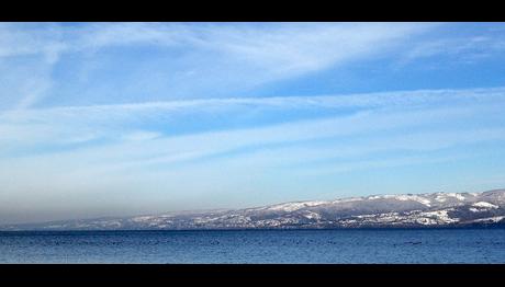 Kuş Dışkısı Kuzey Kutup Bölgesinde Isınmayı Yavaşlatıyor