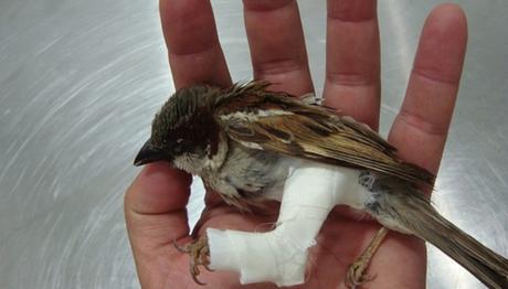 Örnek haber adı gelecek.