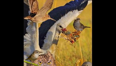 Örnek haber adı gelecek.