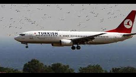 THY uçağına kuş sürüsü çarptı