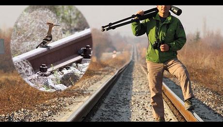 Hem rayları, hem kuşları gözlüyor