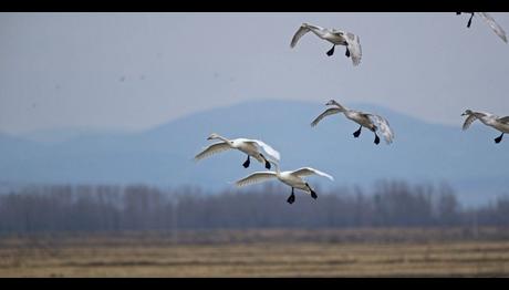Örnek haber adı gelecek.