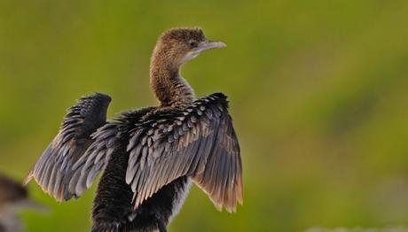 Örnek haber adı gelecek.