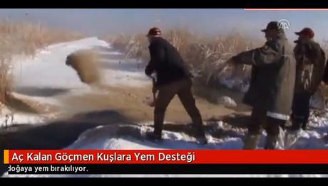 Aç Kalan Göçmen Kuşlara Yem Desteği