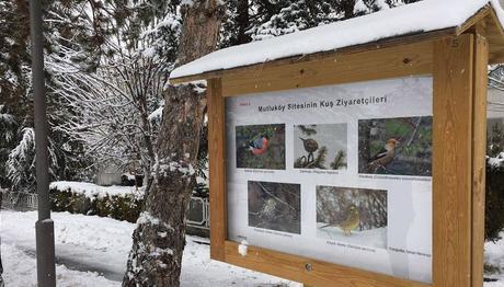 Siteye Tanıtıcı Kuş Panoları