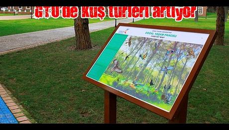 GTÜ'de Kuş Türleri Artıyor