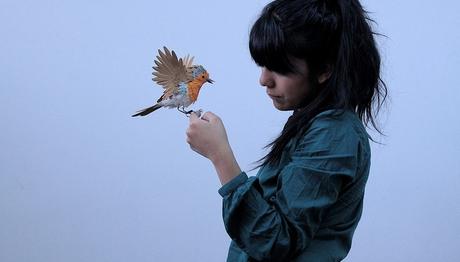 Kağıttan Kuş Heykelleri