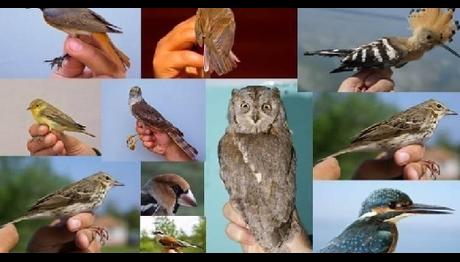 Örnek haber adı gelecek.