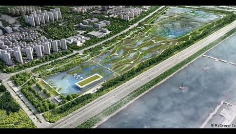 Kuşlar için havaalanı