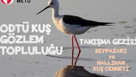 ODTÜ Kuş Gözlem Topluluğu - Tanışma Gezisi