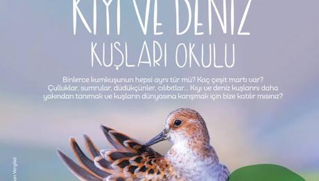 Kıyı ve Deniz Kuşları Okulu 8-9 Nisan'da!