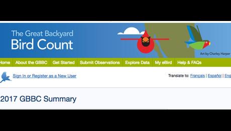 2017 Küresel Kuş Sayımında Rekor Katılım