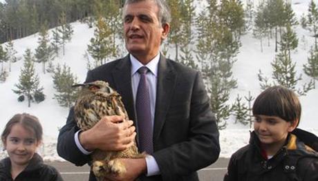 Yaralı Puhu Tedavi Edilip Doğaya Bırakıldı