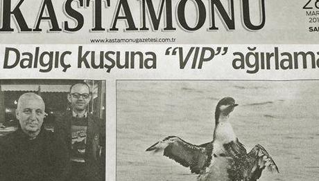 Dalgıç İçin VIP Ağırlama