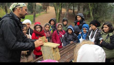 Minikler Küçük Vadi'de