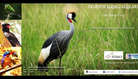 Ekvator Kuşağı Kuşları Sergisi	