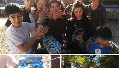 OKULUMUZ KUŞLARA YUVA OLSUN! 