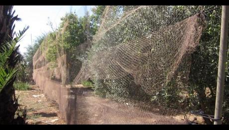 Örnek haber adı gelecek.