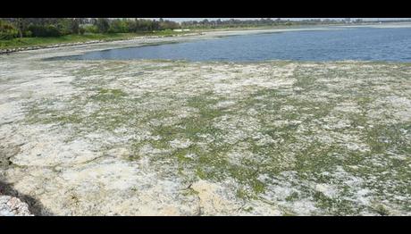 Örnek haber adı gelecek.