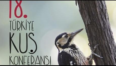 2017 Kuş Konferansı