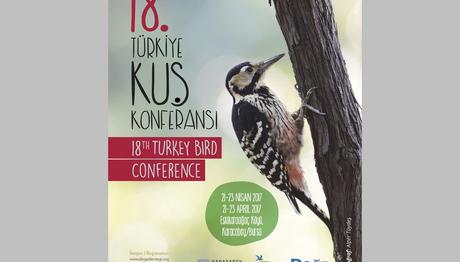 Örnek haber adı gelecek.