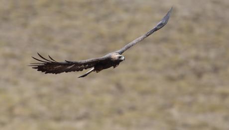 Örnek haber adı gelecek.