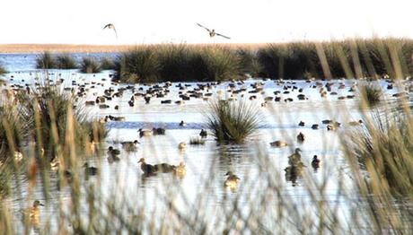 Örnek haber adı gelecek.