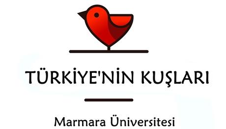 Örnek haber adı gelecek.