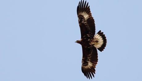 Örnek haber adı gelecek.