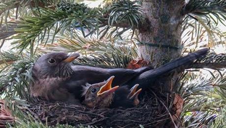 Örnek haber adı gelecek.