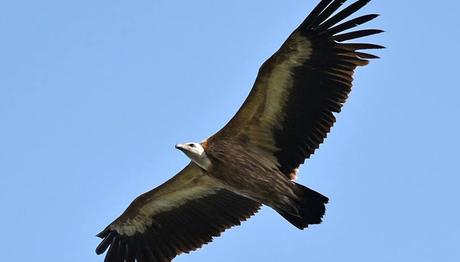 Örnek haber adı gelecek.