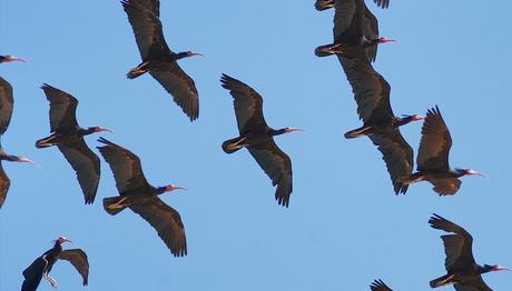 Örnek haber adı gelecek.