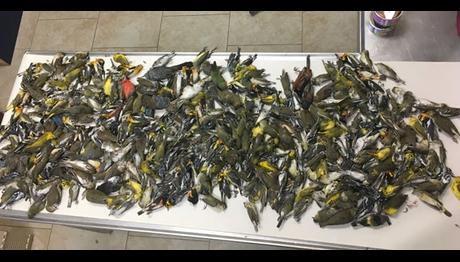 Örnek haber adı gelecek.