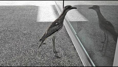 Örnek haber adı gelecek.