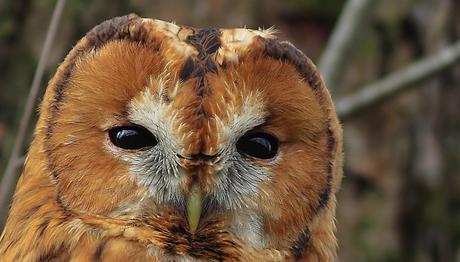 Örnek haber adı gelecek.