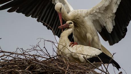 Örnek haber adı gelecek.