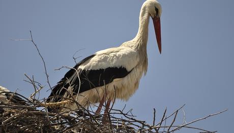 Örnek haber adı gelecek.