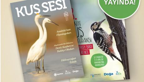 Örnek haber adı gelecek.