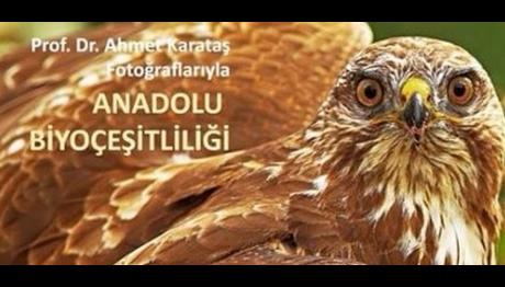 Örnek haber adı gelecek.