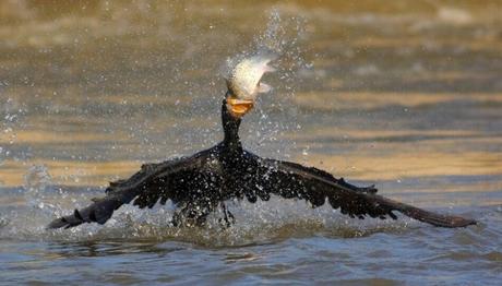 Örnek haber adı gelecek.