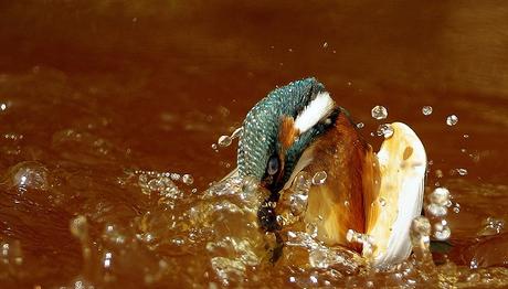 Örnek haber adı gelecek.