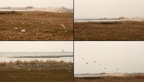 Örnek haber adı gelecek.